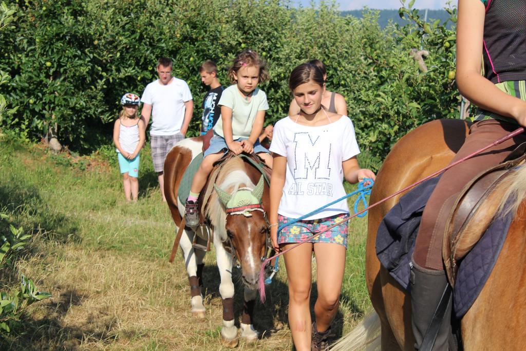 Schoetzerhof Мельтіна Екстер'єр фото